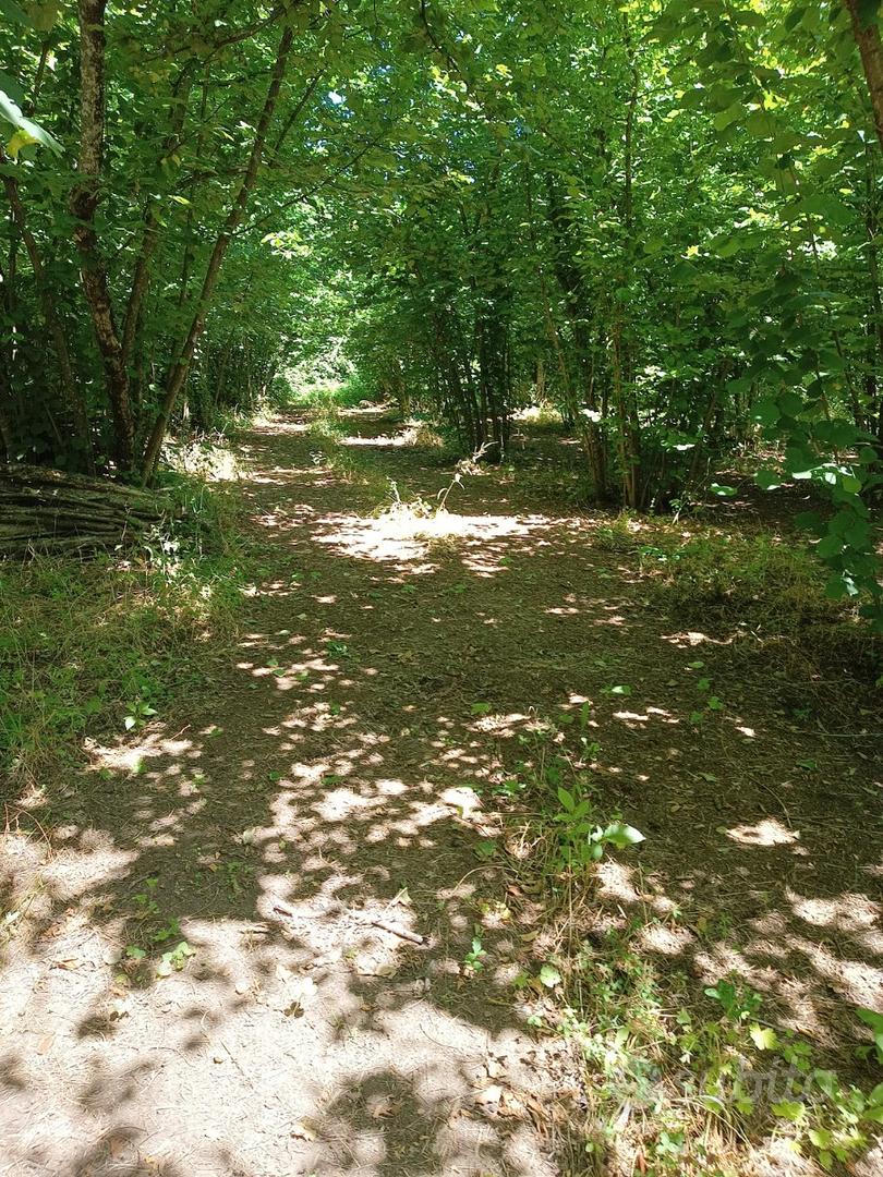 Terreno agricolo - Vista 3