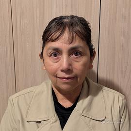 Badante non convivente