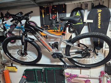 E-bike Batteria 900Wh - Motore Ananda 100Nm)