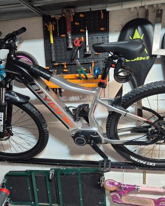 E-bike Batteria 900Wh - Motore Ananda 100Nm)