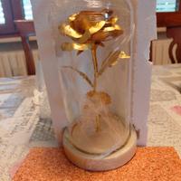 rosa " la bella e la bestia"