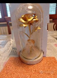 rosa " la bella e la bestia"