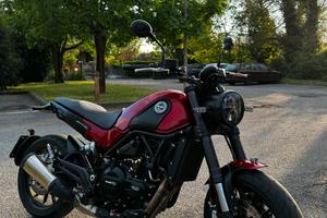 Benelli leoncino 500