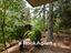 Immagine 28