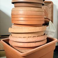 Vasi di varie dimensioni - Piante e fiori