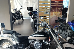 Colorazione bicolore tutta originale