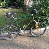 vecchia MTB Rauler
