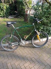 vecchia MTB Rauler