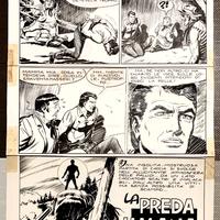 Tavole originali Zagor - Ferri Donatelli Bignotti