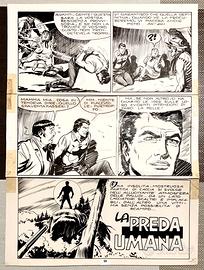 Tavole originali Zagor - Ferri Donatelli Bignotti