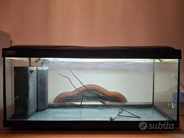 Acquario 110 litri