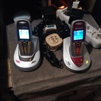 Cordless Aladino