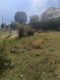 Terreno Vico nel Lazio (FR)