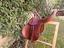 Immagine 2