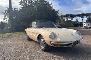 Alfa spider osso di seppia 1600