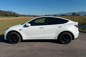 Tesla Model Y RWD