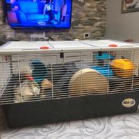 Gabbia criceto con accessori