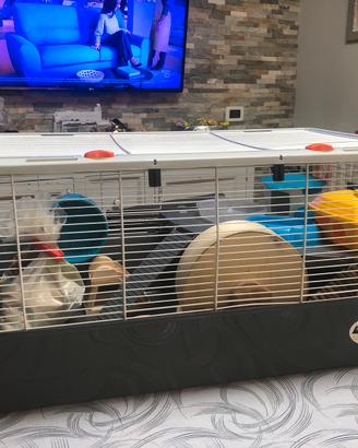 Gabbia criceto con accessori