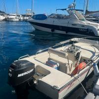 Boston Whaler Euro 15