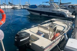 Boston Whaler Euro 15