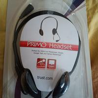 cuffie con auricolari professionali