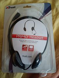 cuffie con auricolari professionali