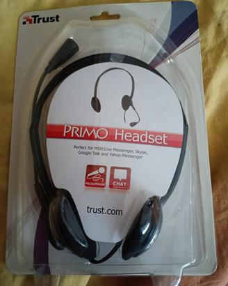 cuffie con auricolari professionali