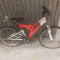 Bicicletta da Adulto