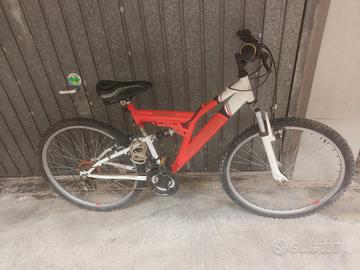 Bicicletta da Adulto