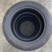 Gomme estive nexen nfera primus