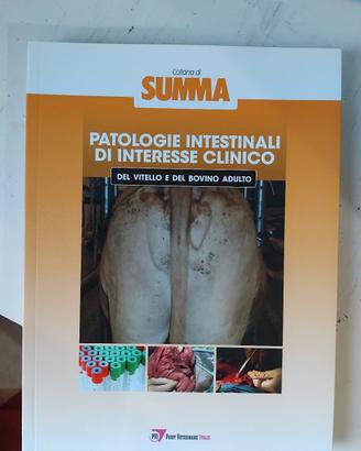 SUMMA libri bovini 