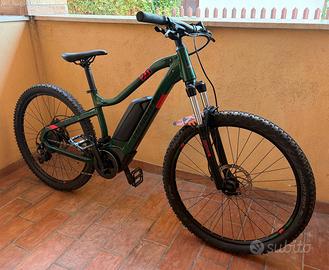 Bicicletta elettrica Mountain Bike
