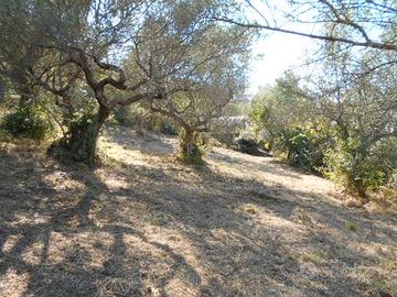 Terreno vista mare con rudere