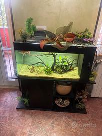 Acquario 150 litri