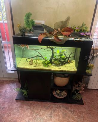 Acquario 150 litri