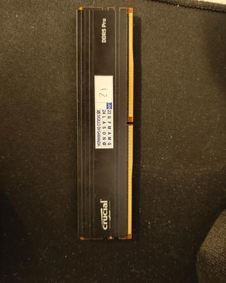 RAM ddr5 crucial pro 5600mt/h  cl 46