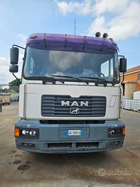 camion Man usato