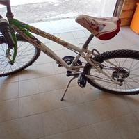 bici bambino tg.24