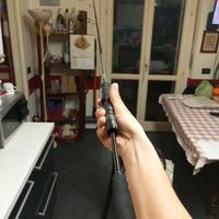 canna da spinning Daiwa exceler 2-10 gr