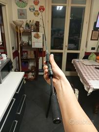 canna da spinning Daiwa exceler 2-10 gr