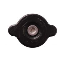 Tappo radiatore in ferro