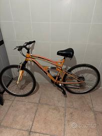 Bicicletta da aggiustare