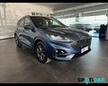 ford-kuga-3nd-serie-2-0-ecoblue-120cv-aut-aw-