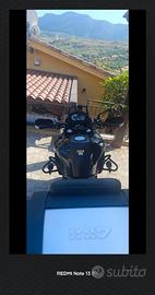 Benelli TRK 502