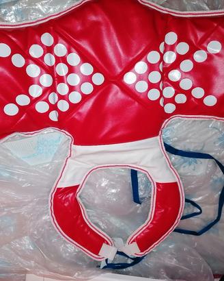 protezioni taekwondo 