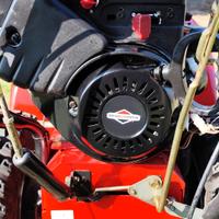 Lancianeve joansered Briggs &stratton