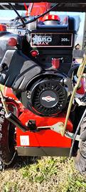 Lancianeve joansered Briggs &stratton