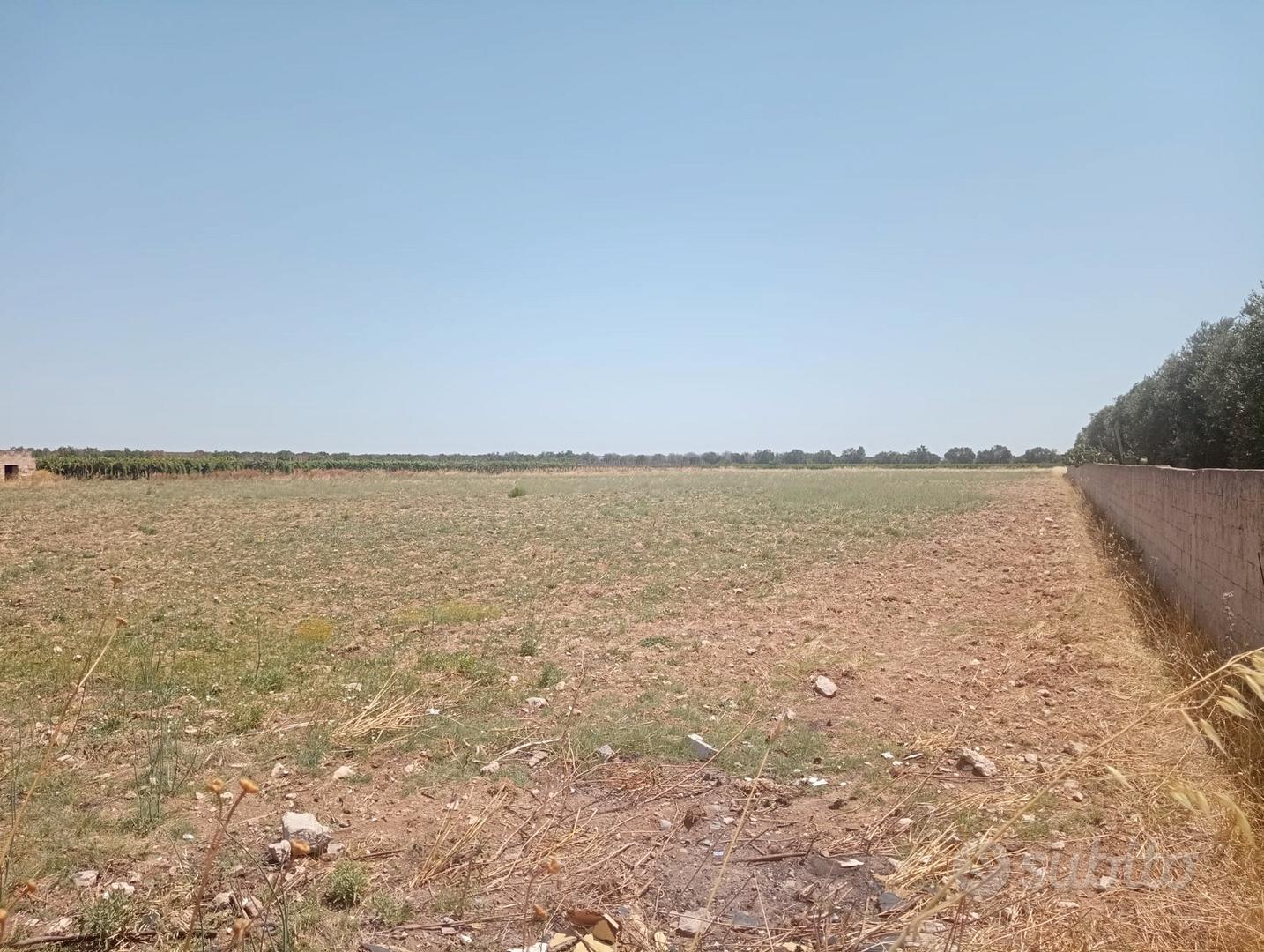 Terreno agricolo mq 22000 a km 1,5 dal mare - Vista 5