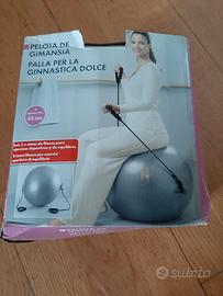 Palla per ginnastica 