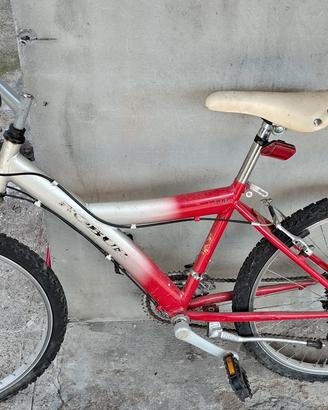 Bicicletta MTB ragazzo – cambio Shimano